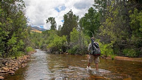 Jarbidge Wilderness Area Nevada | Jarbidge River Info & Map