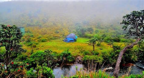 3 Days Hiking & Camping at Horton Plains National Park - Colombo ...