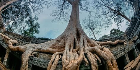 CAMBODIA. ANGKOR WAT | Fulldome Pro