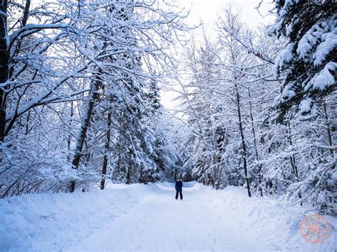 How To Plan A Muskoka Winter Weekend Getaway - Going Awesome Places