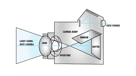 Camera Basics: How To Understand Aperture - The Slanted Lens