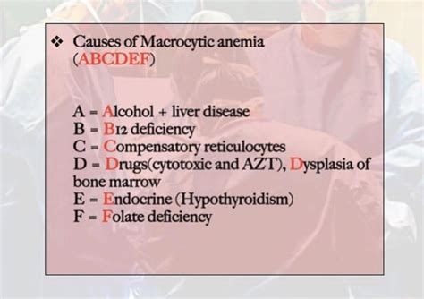 Macrocytic Anemia Causes Symptoms Macrocytic Anemia T - vrogue.co