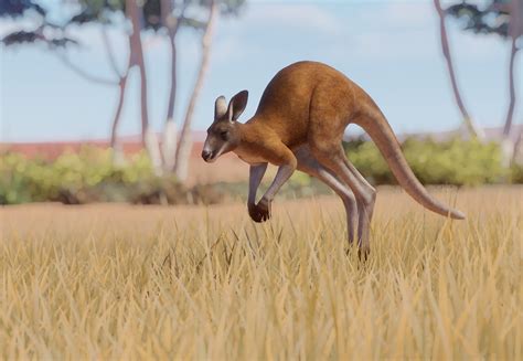 Red Kangaroo - Planet Zoo