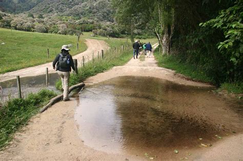 Wainui Falls - Largest Most Accessible Abel Tasman Waterfall