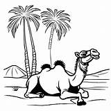 Happy camel Coloring Page Lulu Pages sketch template