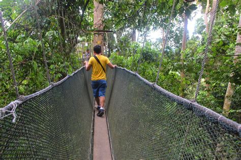 Jungle Canopy Walk in Ranau, Sabah