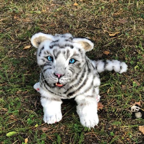 Realistic toy siberian white tiger, plush stuffed artist collectible ...