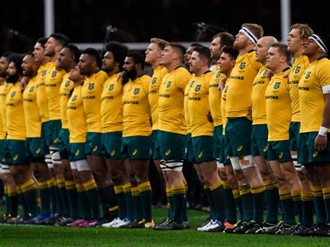 Australia Rugby World Cup Fixtures, Squad, Group, Guide - Rugby World