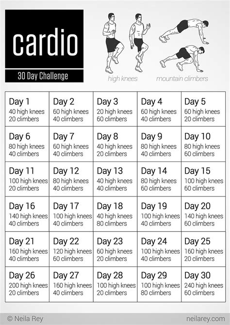 Cardio And Strength Training Exercise Plan A Beginner s Guide - Cardio ...