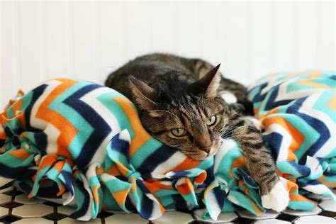 How to Make a Ridiculously Easy No-Sew Cat Bed - Your Purrfect Kitty