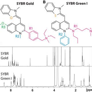 SYBR Gold structure and 1 H NMR spectra. (A) The structure of SYBR Gold ...