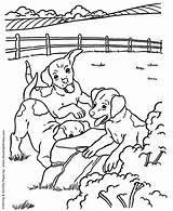 Dogs And Puppies Coloring Pages sketch template