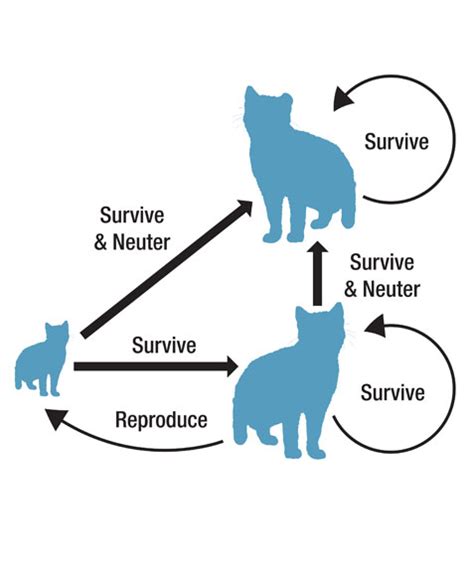 Population Dynamics | Tyler Flockhart | Solutions for complex ecological problems