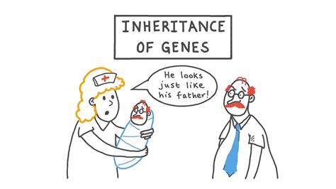 Lesson Video: Inheritance of Genes | Nagwa