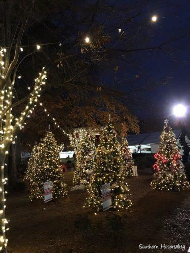 Marietta Square Scenes of Christmas - Southern Hospitality