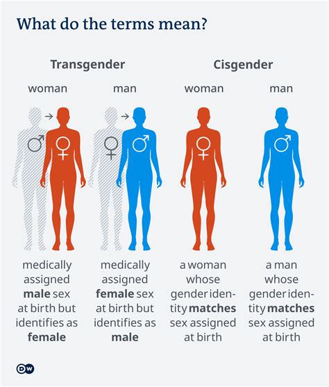 Politic?: Inclusivity and Fairness Polarized in Transgender Athletes ...