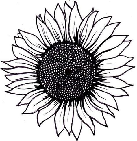 52 Small Sunflower Tattoo Ideas and Images - Piercings Models | Sunflower drawing, Sunflower ...