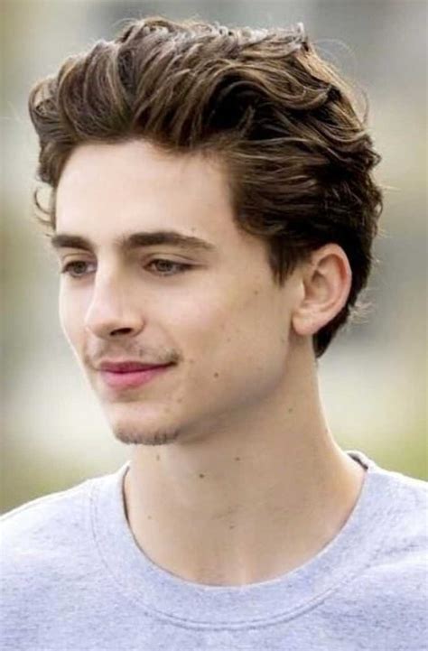 Timothée Chalamet | Haircuts for men, Mens hairstyles, Boys haircuts