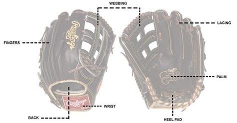 Baseball Glove Web Types | A Complete Breakdown