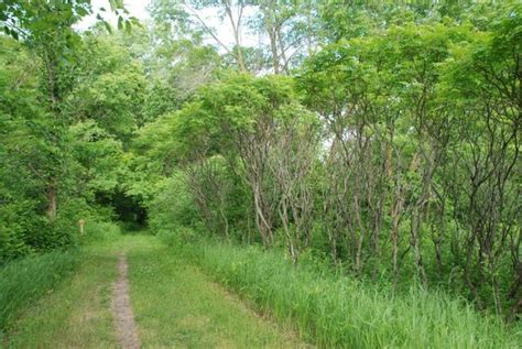 Great Trails at the River Bend Nature Center - Visit Faribault Minnesota