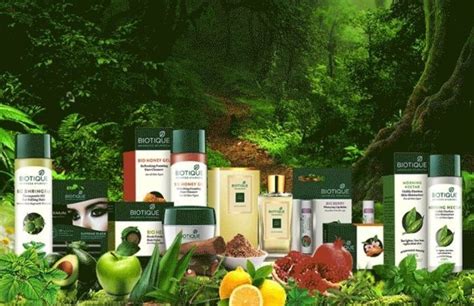 16 Best Biotique Products In India - 2022 | Fabbon