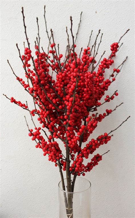 Winterberry | Stevens and Son Wholesale Florist