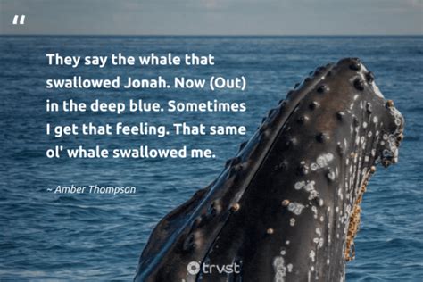 36 Whale Quotes To Help You Be Calm And Hopeful (2024)