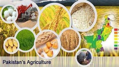 USAID, Punjab govt inaugurate Punjab Agriculture Commission’s ...