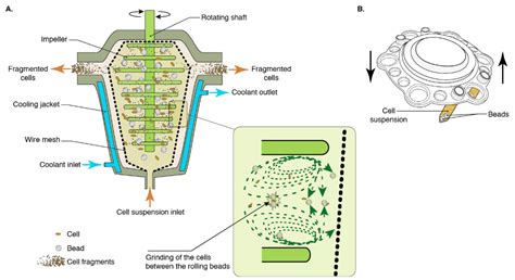 Fermentation | Free Full-Text | Mechanical Cell Disruption Technologies ...