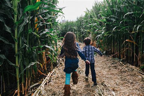 "Kids Explore A Corn Maze On A Fall Day" by Stocksy Contributor "Tana Teel" - Stocksy