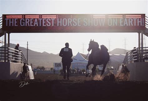 SCOTTSDALE - ARABIAN HORSE SHOW 2023 - Arabian Insider