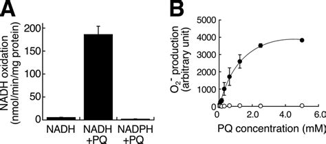 NADH-PQ oxidoreductase activity in the outer membrane extract. A, NADH ...