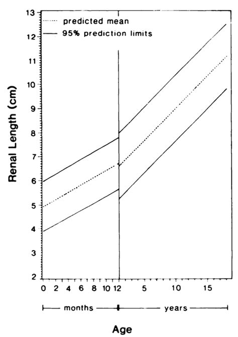 Utah Pediatric Radiology: Renal length in children by age, height, and ...