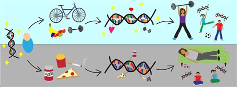 November 1 - What Genes Cannot Tell: The role of epigenetics in determining who we are - Science ...