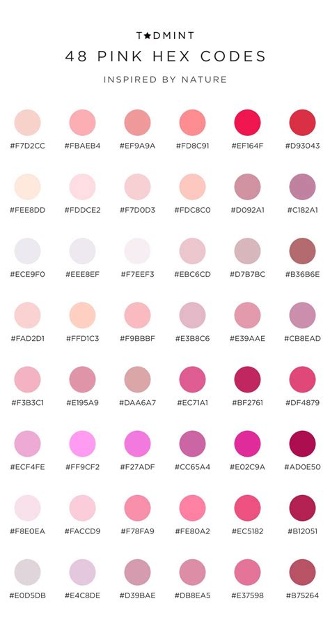 Pink Color Palettes for Web Design: A Quick Guide — TADMINT — Design Resource and Merchandise ...