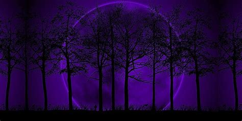 Purple sky, tree, moon, sky, scene, HD wallpaper | Peakpx