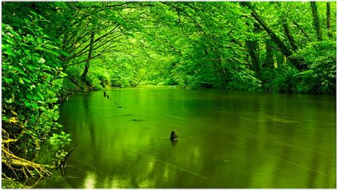 Green Water Wallpapers - Wallpaper Cave