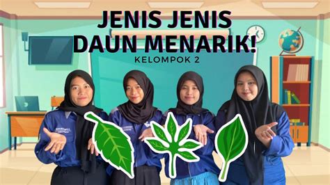 Jenis-jenis Daun Menarik( daun melengkung, daun menyirip,daun menjari) KELOMPOK 2 UAS MULMED PIF ...