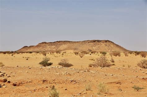 Premium Photo | Sahara desert of sudan