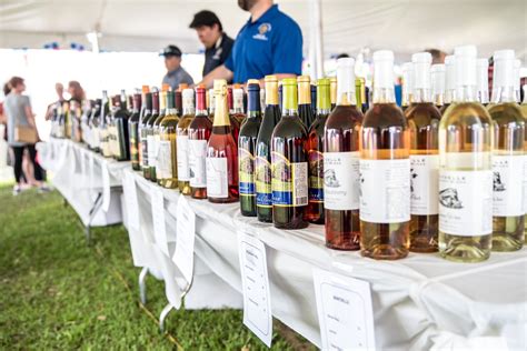 10 Best Wine Festivals to Visit in Texas for 2023 – Trips To Discover