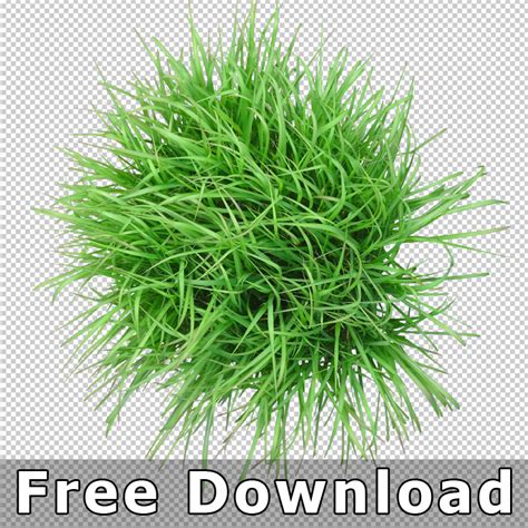 Plant Top View PNG Collection – Cutout Vegetation for (Landscape ...