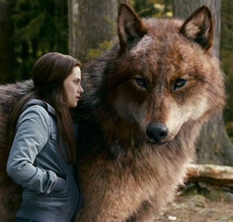 Jacob Black Wolf Tattoo