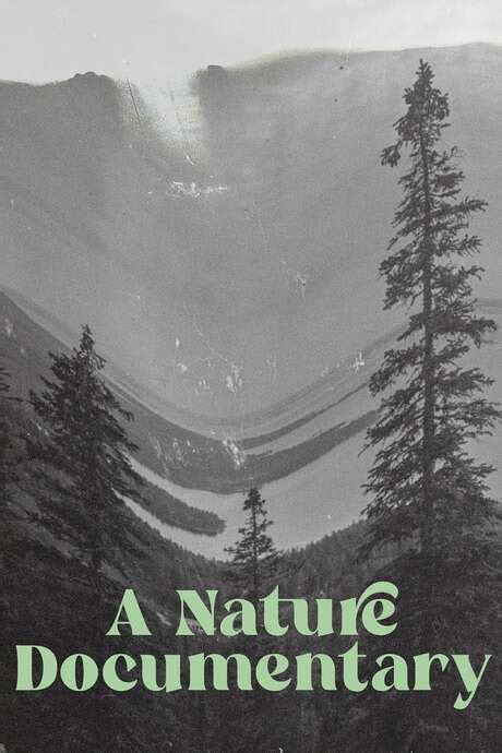 ‎A Nature Documentary (2021) directed by Joel Karppanen • Film + cast • Letterboxd