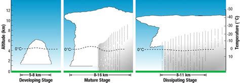 Thunderstorm Formation | Center for Science Education