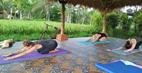 Bali: 3-Day Balinese Surya Yoga & Meditation Retreat | GetYourGuide