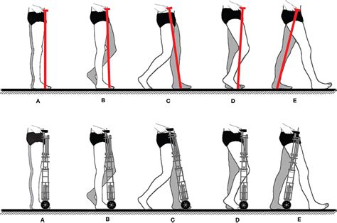 Frontiers | Robotic Cane Controlled to Adapt Automatically to Its User Gait Characteristics