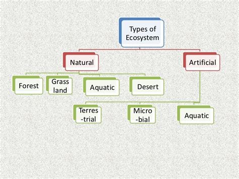 Types of ecosystem