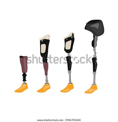 3,286 Prosthetic Leg Vector Images, Stock Photos & Vectors | Shutterstock