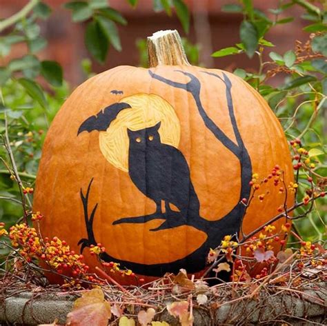 Citrouille avec hibou | Creative pumpkin painting, Creative pumpkins ...