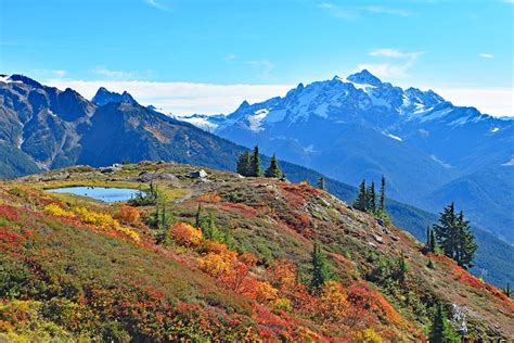 Explore the TOP 11 Hikes in Bellingham, WA